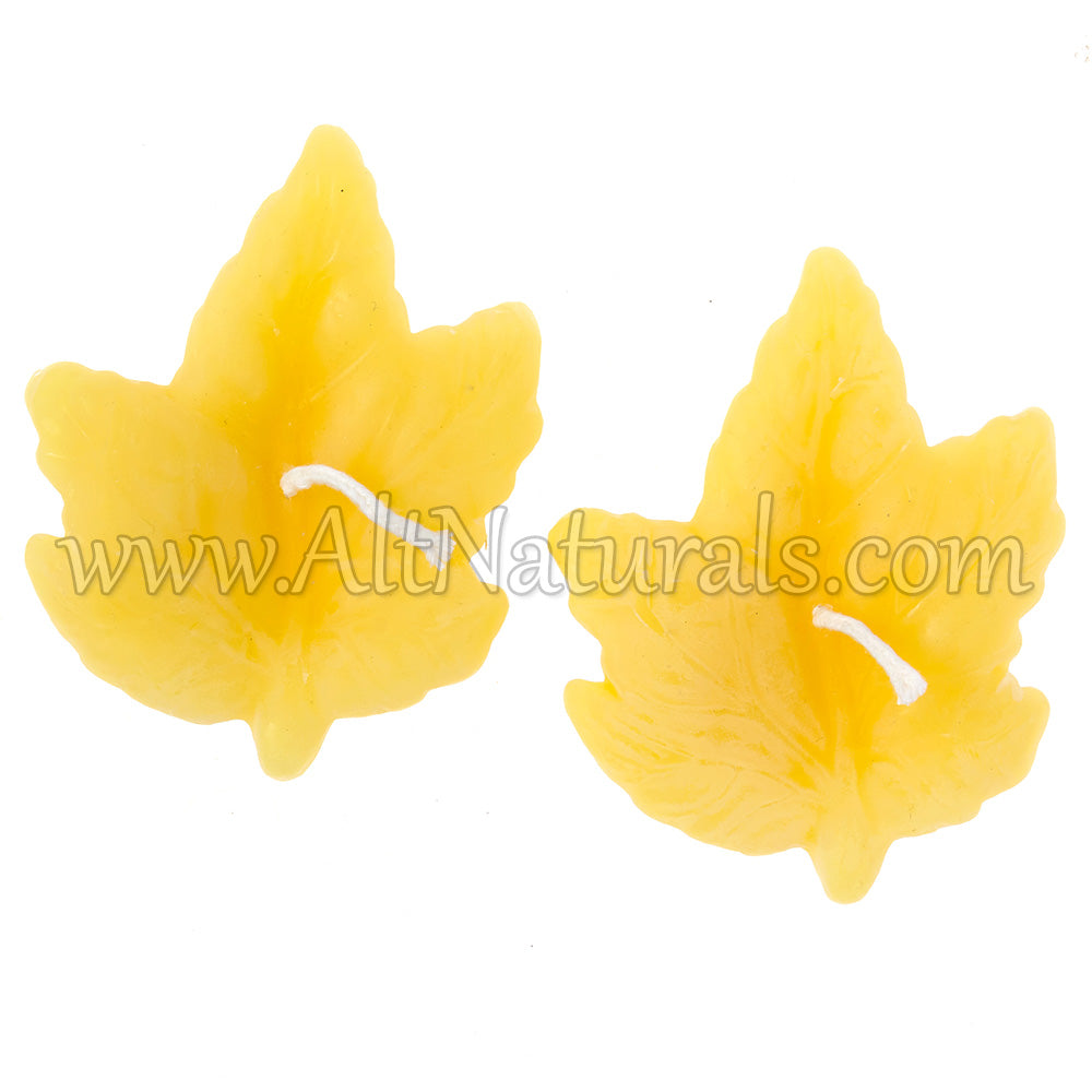 2 Maple Leaves - Shaped Beeswax Candles