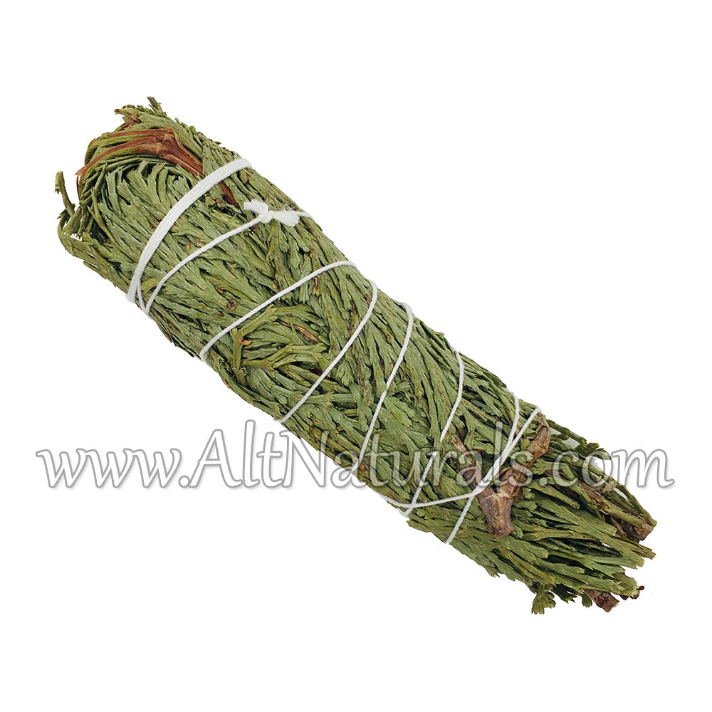 Incense Sampler - Cedar, Sweetgrass, Juniper, Blue Sage, Yerba Santa