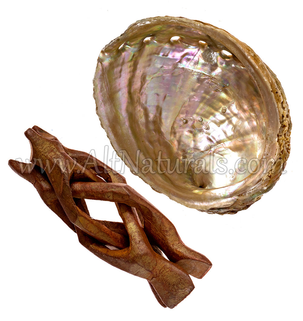 4" Mini Hand-selected Premium Abalone Shell with 4" Wooden Cobra Stand